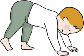 Quand et comment encourager le 4 pattes ? - Eveil & Conseil